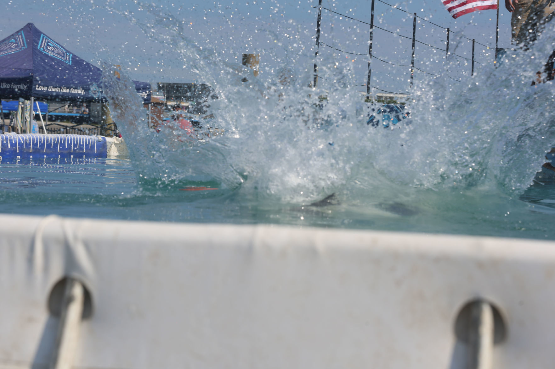 090919_gal_dockdogsWW (32)